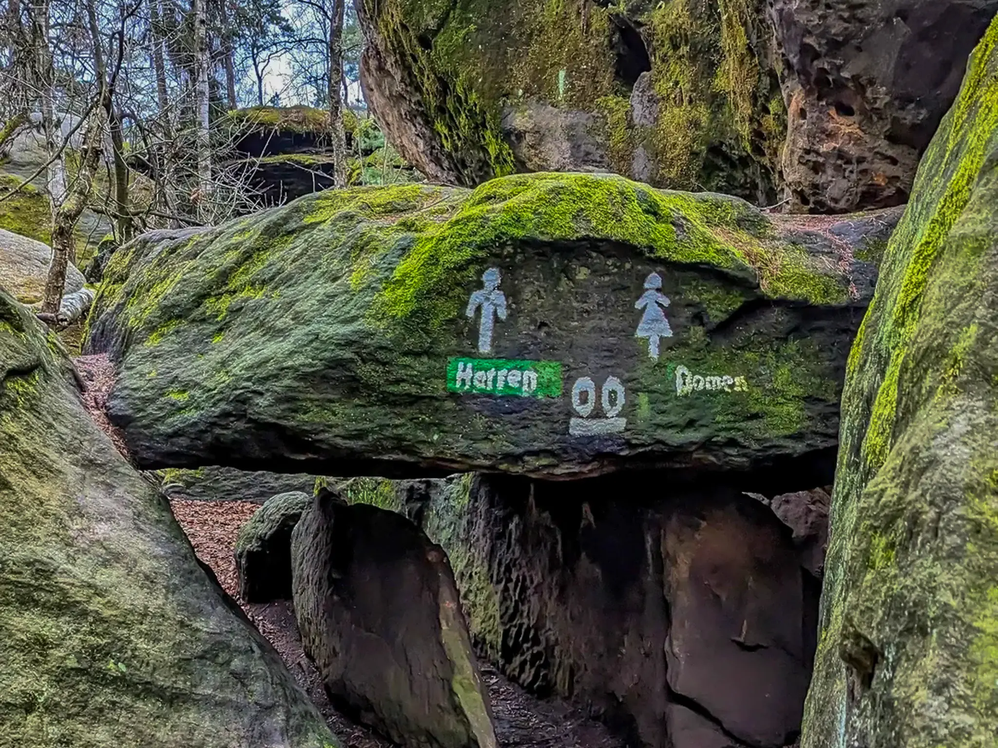 Felsenlabyrinth Langenhennersdorf