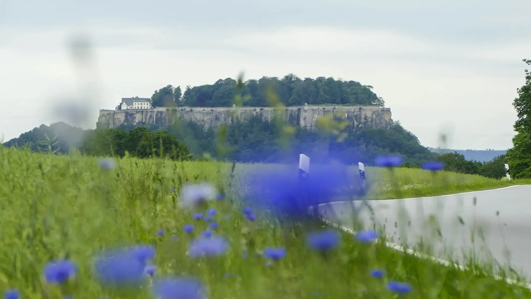 Festung Königstein