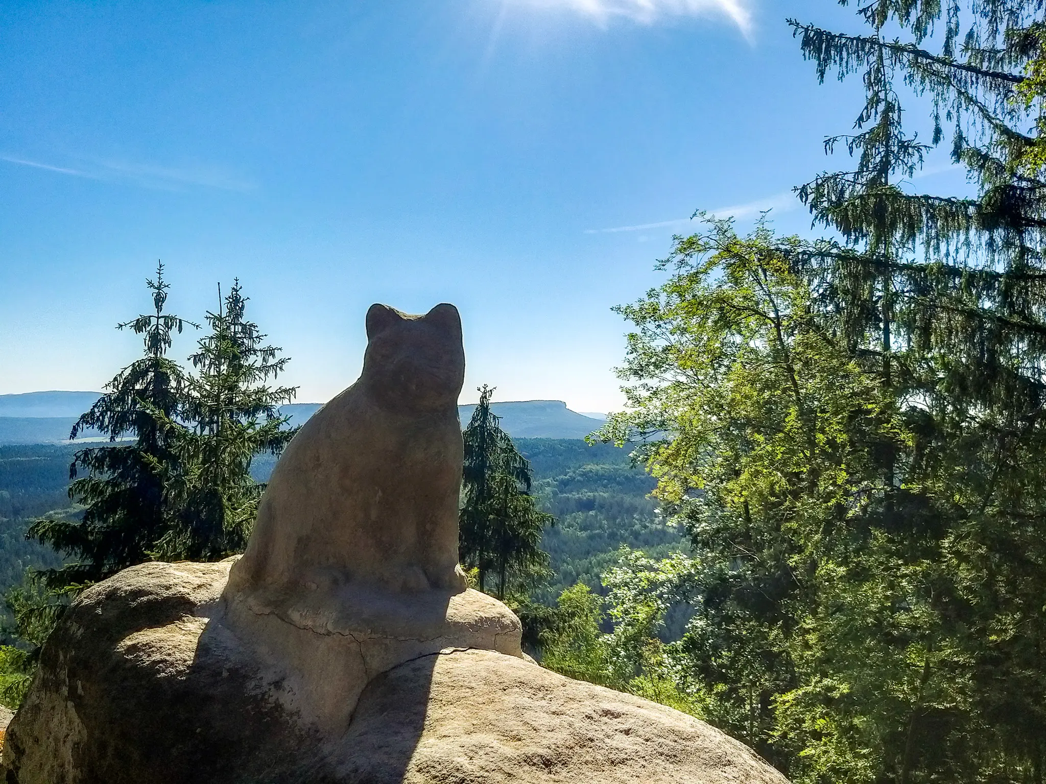 Katzstein