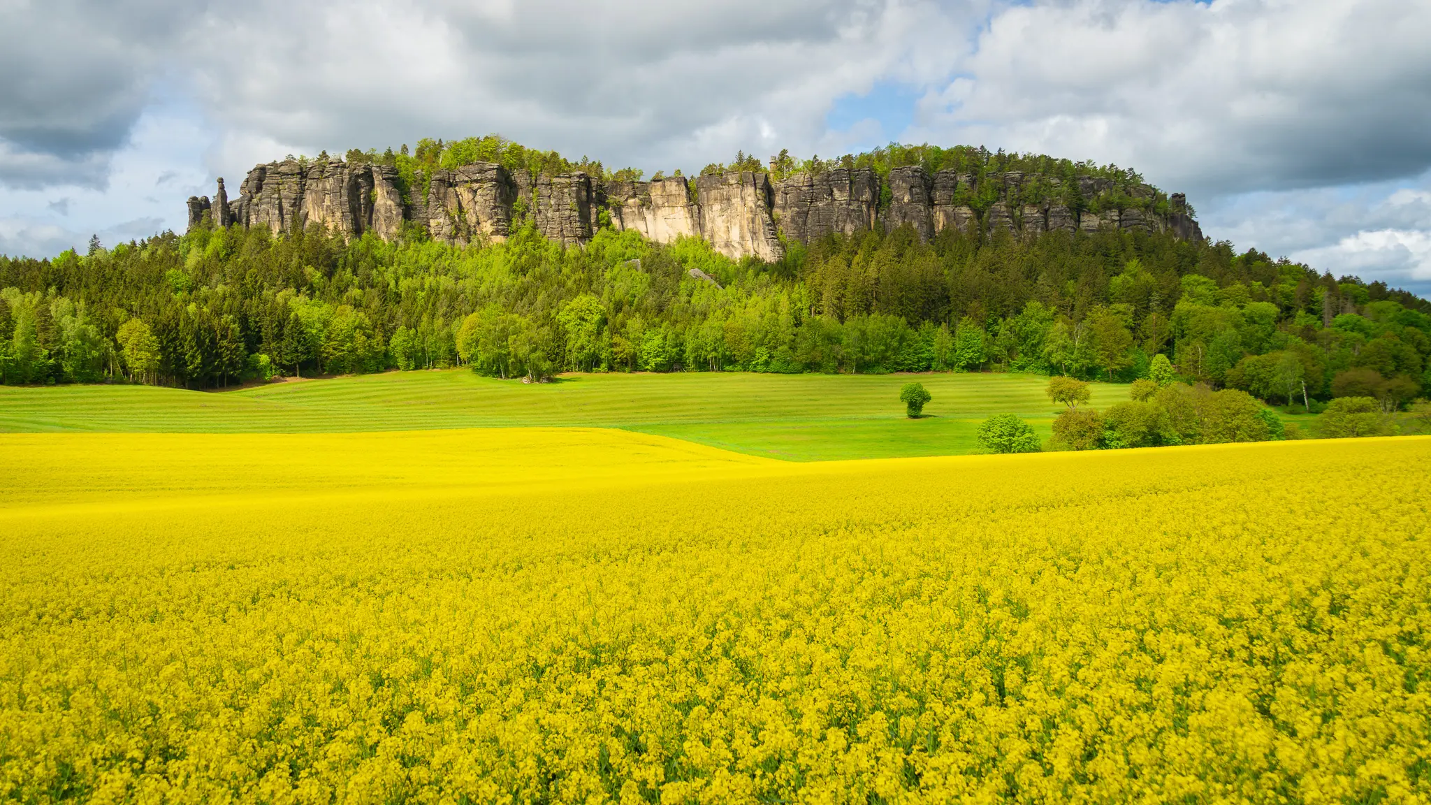Pfaffenstein und Barbarine im Raps